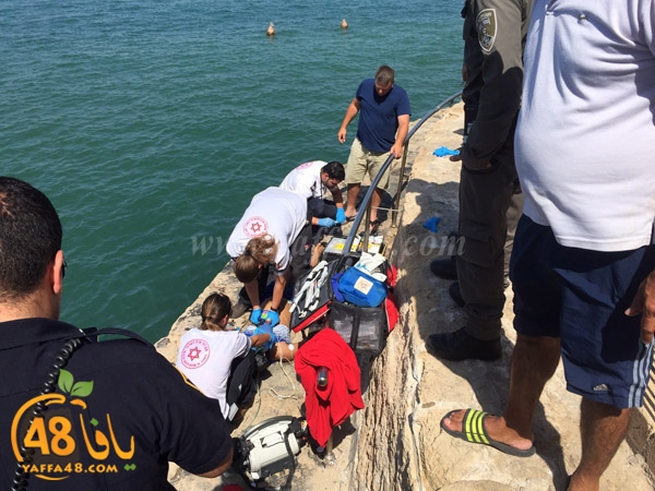 masra3 mina2 yaffa (5).jpg